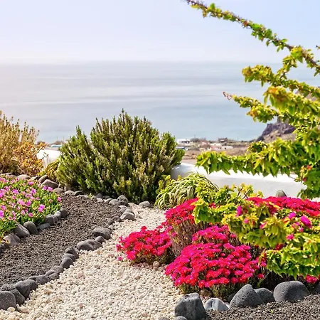 Illusion - Exceptional Private *