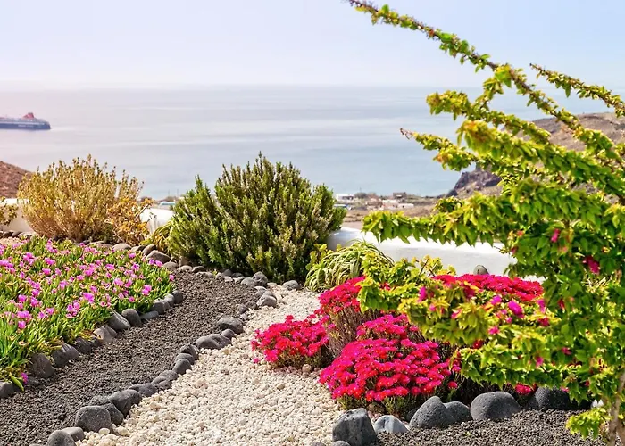 Illusion - Exceptional Private *